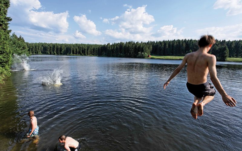Ziegenberger Teich, dKulturdenkmal "Oberharzer Wasserregal"