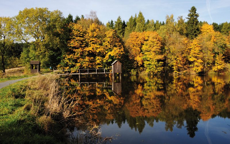 TU Clausthal - Region - Herbststimmung im Harz