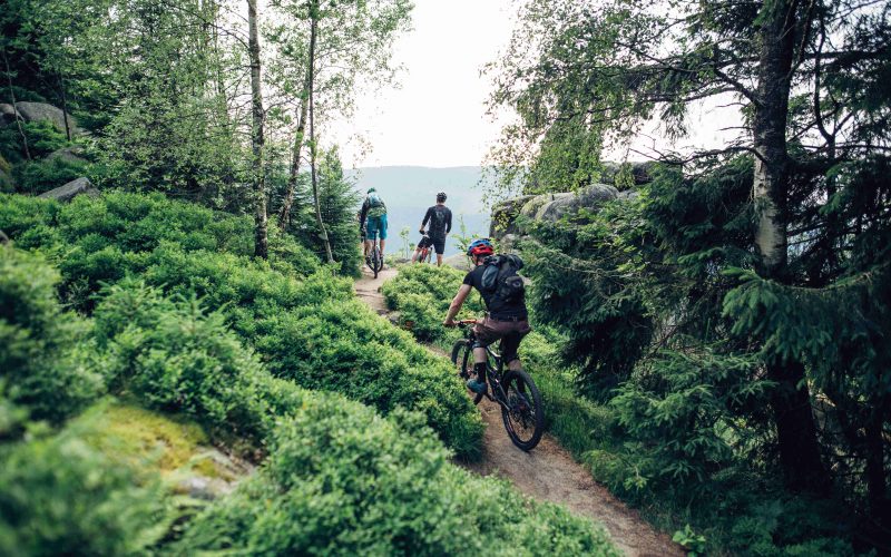 Mountainbiking2